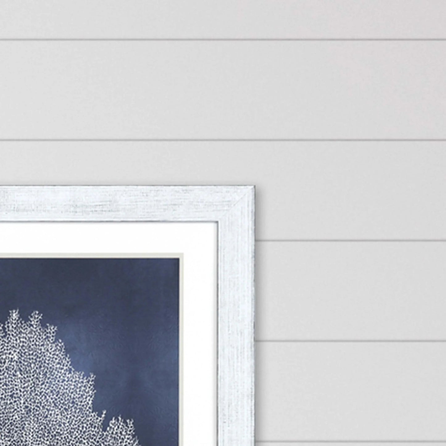 Sea Fan on Blue Wood Frame Canvas Art