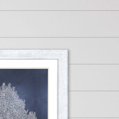 Sea Fan on Blue Wood Frame Canvas Art