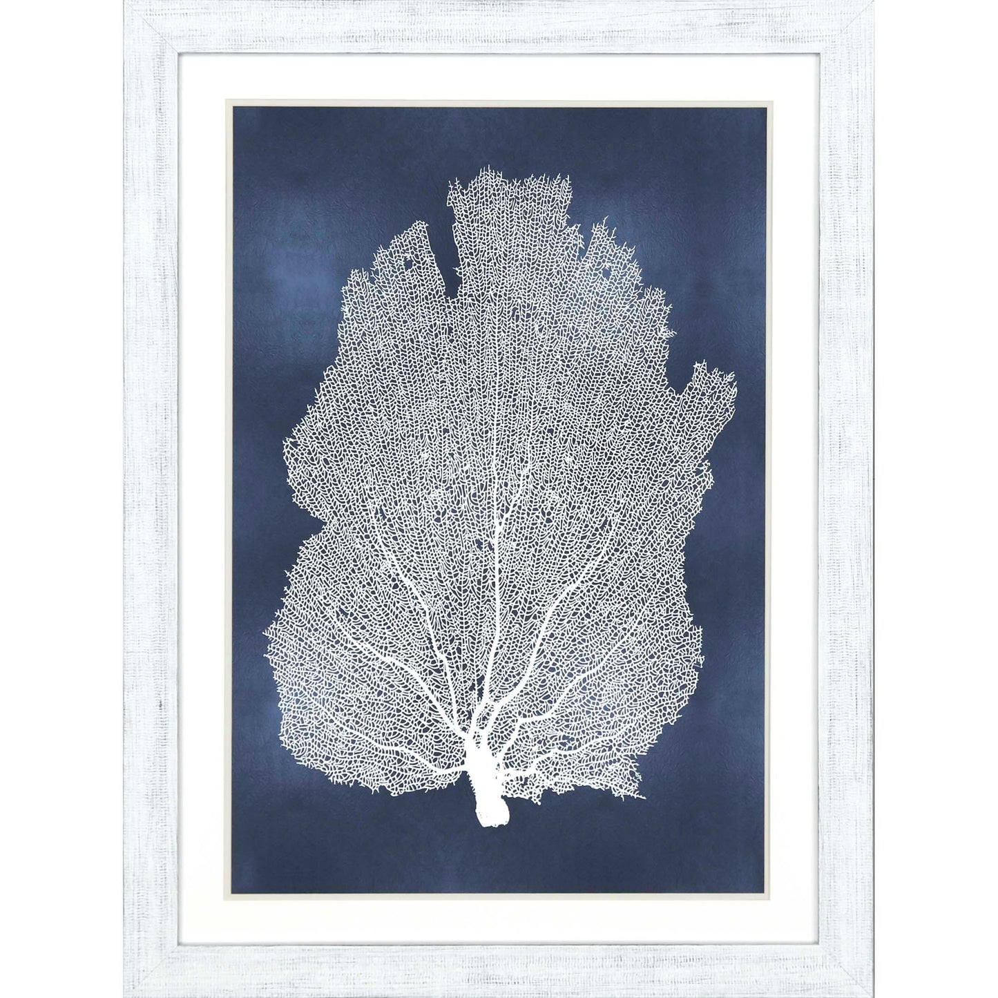Sea Fan on Blue Wood Frame Canvas Art