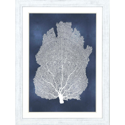 Sea Fan on Blue Wood Frame Canvas Art