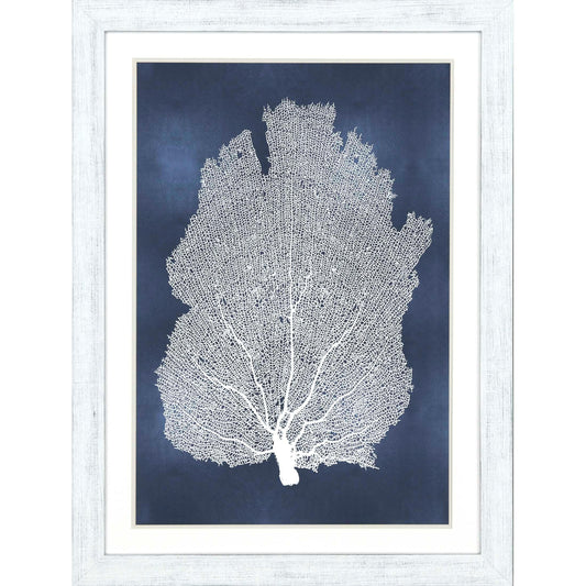 Sea Fan on Blue Wood Frame Canvas Art