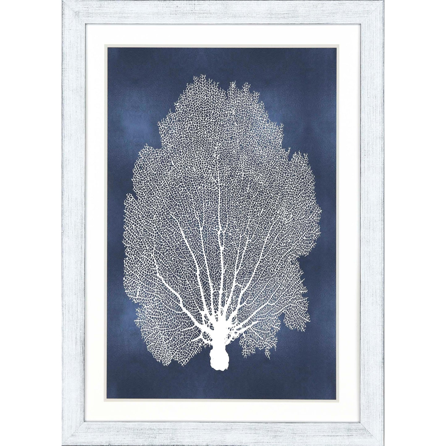 Sea Fan on Blue Wood Frame Canvas Art