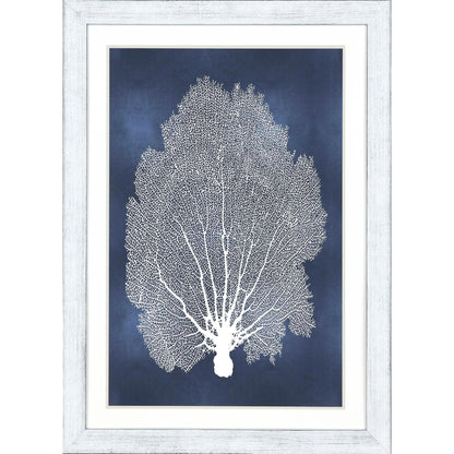 Sea Fan on Blue Wood Frame Canvas Art