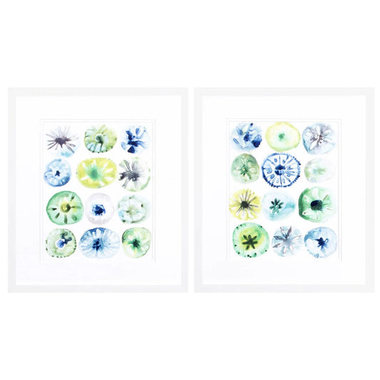 Sea Urchin Assortment Framed Wall Art 2PC