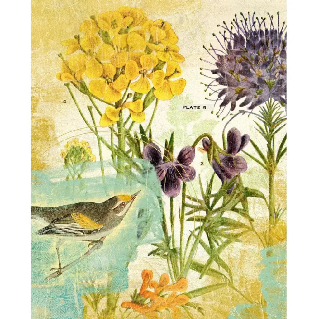 Second Bird the Garden Artwork d Canvas Floating - LOOMLAN - LOOMLAN - Canvas Art