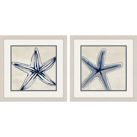 Shades of Starfish Blue Framed Wall Art 2PC