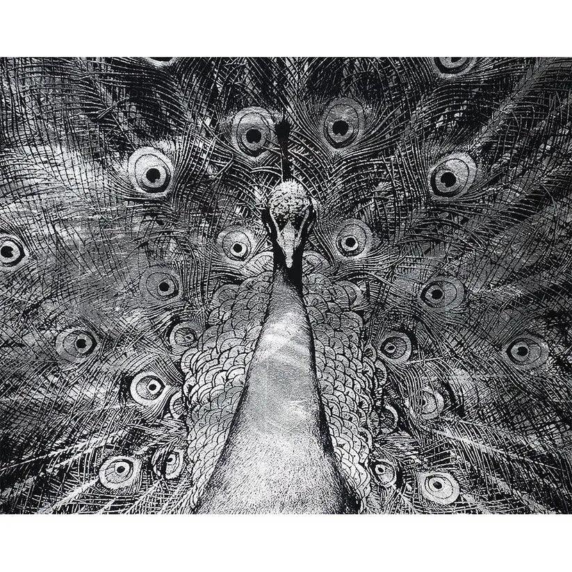 Silver Plumage 72" x 48" Charcoal Frame Luxe Wall Art-Framed Wall Art-SUNPAN-LOOMLAN