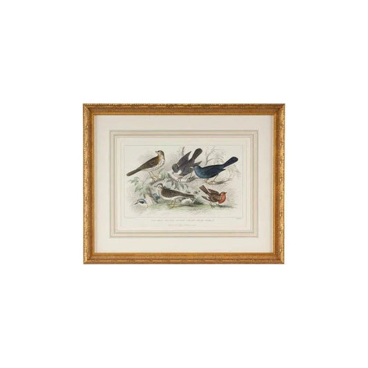 Skylark Song Thrush &r/Breast Gold Leafed Frame Artwork-Framed Wall Art-Chelsea House-LOOMLAN