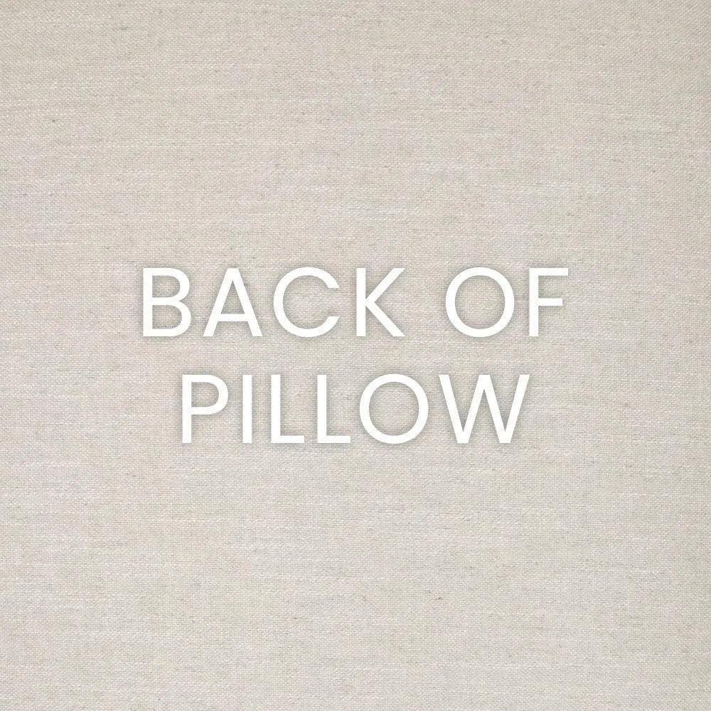 Smoothie Mocha Solid Brown Large Throw Pillow Insert - LOOMLAN - D.V. Kap - Throw Pillows