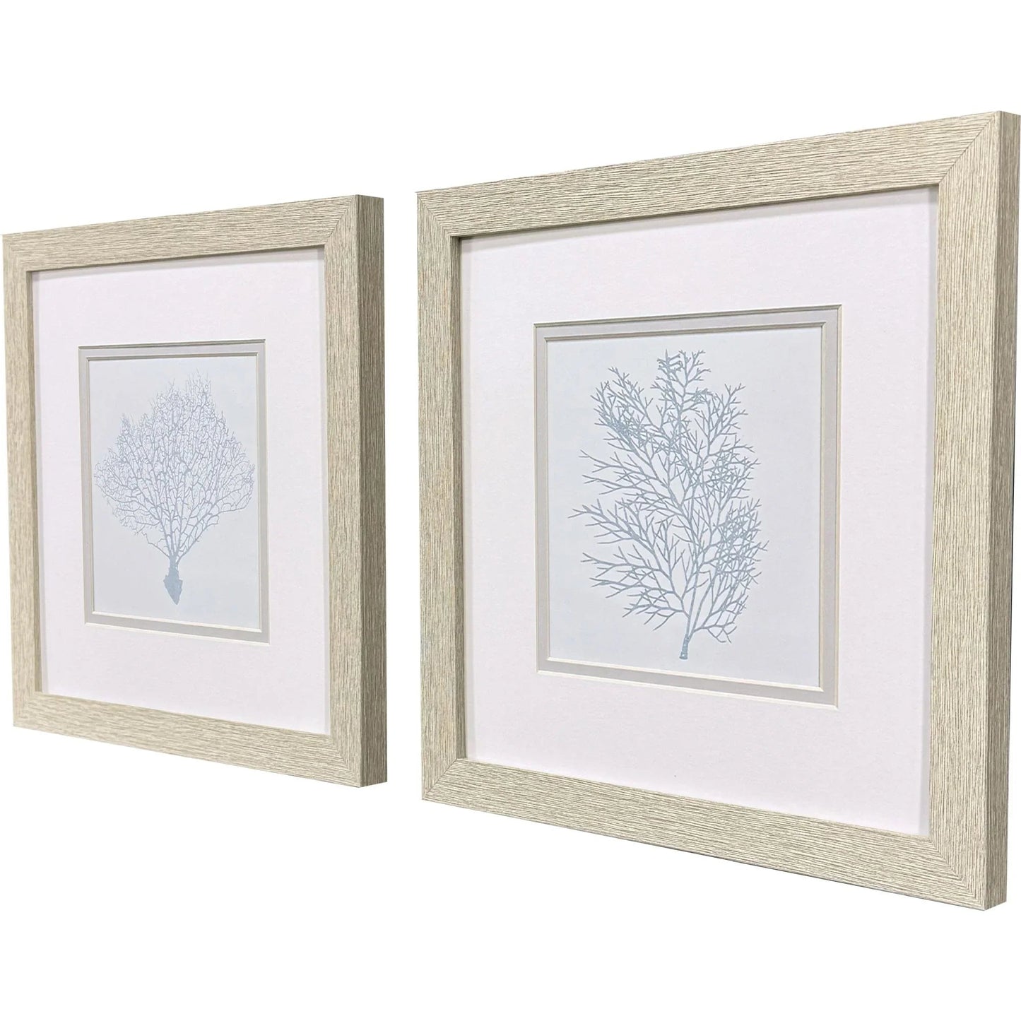 Soft Blue Coral Canvas Art 2PC