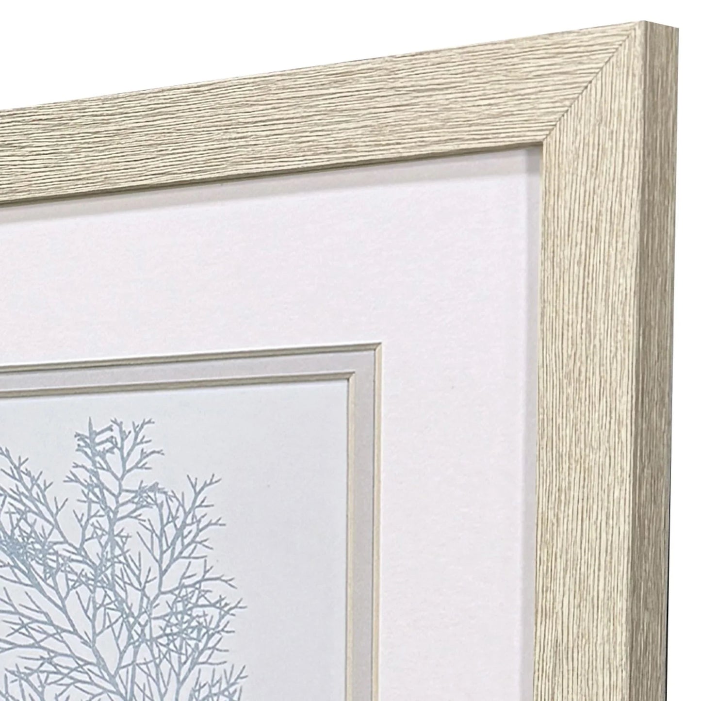 Soft Blue Coral Canvas Art 2PC