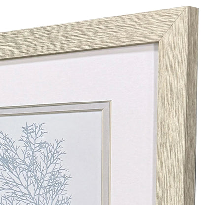 Soft Blue Coral Canvas Art 2PC