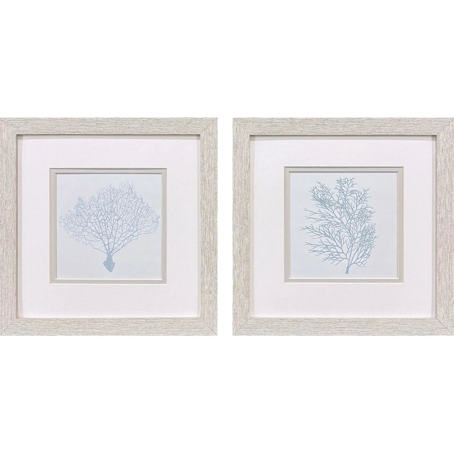 Soft Blue Coral Canvas Art 2PC