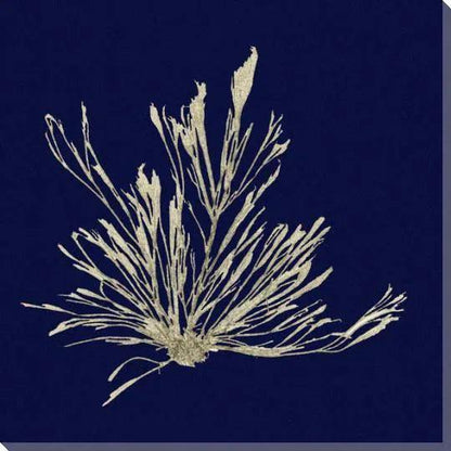 Square Seaweed Coastal Canvas Art for Indoor or Outdoor - LOOMLAN - LOOMLAN - Canvas Art