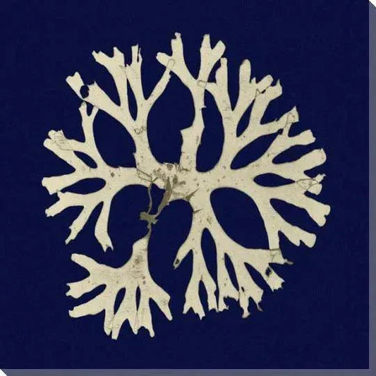 Square Seaweed Coastal Canvas Art for Indoor or Outdoor - LOOMLAN - LOOMLAN - Canvas Art