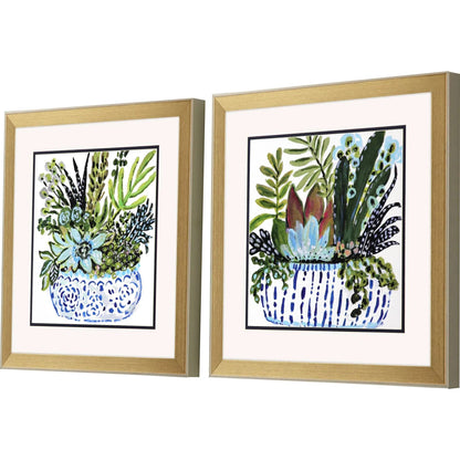 Succulent Garden Blue Canvas Art 2PC