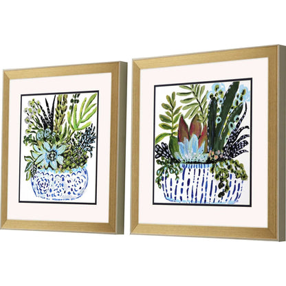 Succulent Garden Blue Framed Wall Art 2PC -- view 3