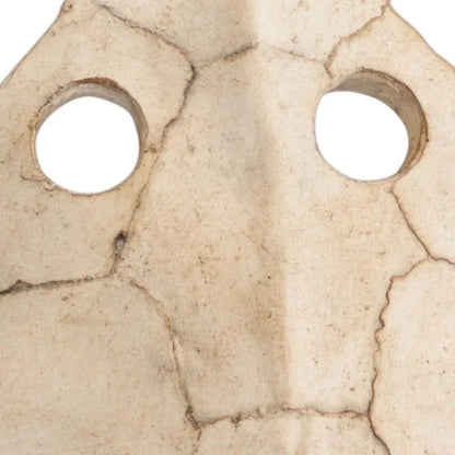 Sulcata Turtle And Iron Base Sculpture - LOOMLAN - Wildwood - Statues & Sculptures