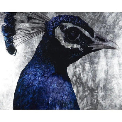 The Peacock - 48" X 72" Charcoal Frame Luxe Wall Art-Framed Wall Art-SUNPAN-LOOMLAN