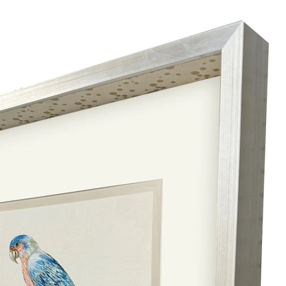 Treasure Parrot IV Wood Frame Blue Canvas Art