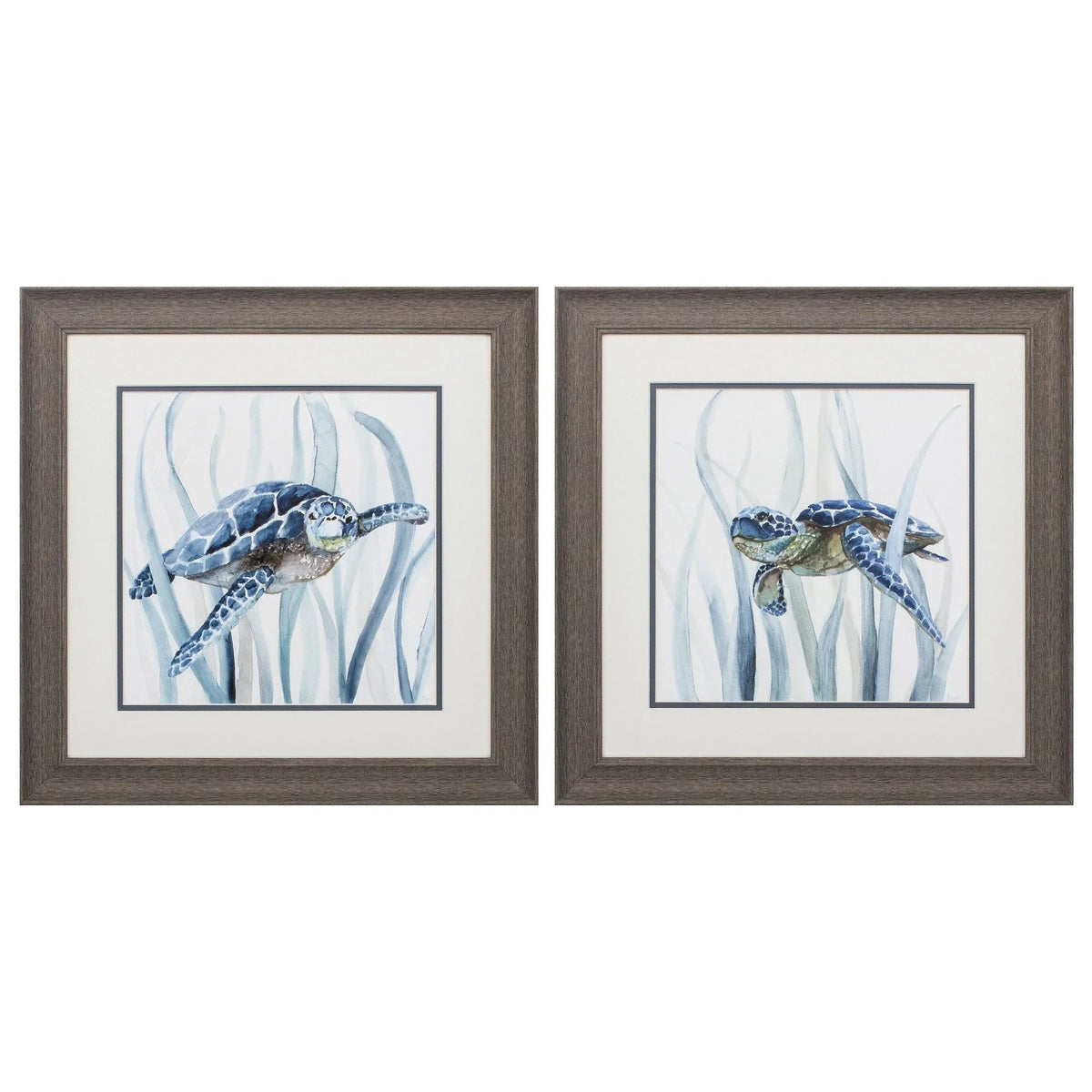 Turtle in Grass Blue Framed Wall Art 2PC