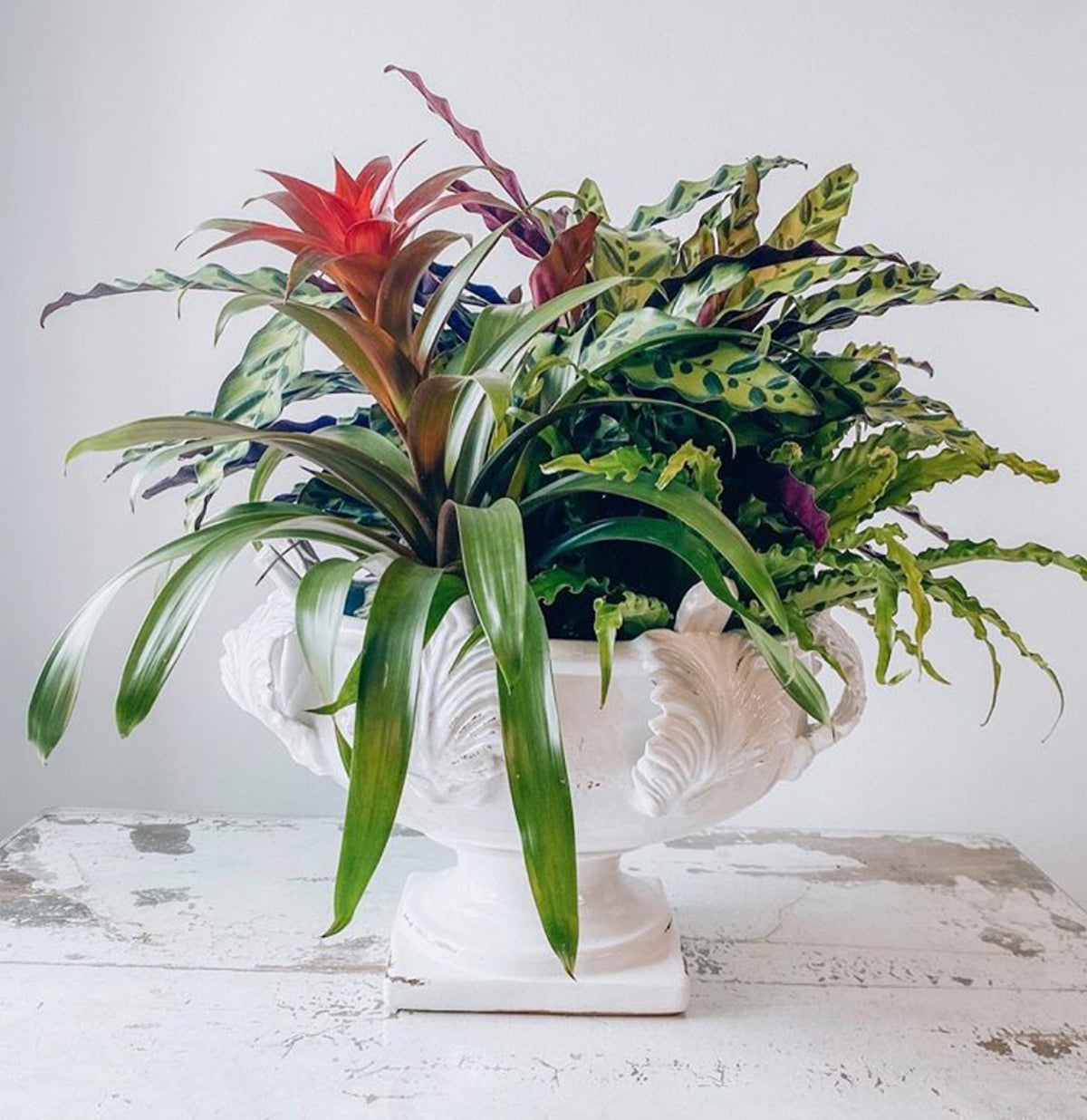 Vinci Acanthus Leaf Design Centerpiece Bowl