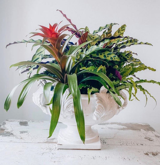 Vinci Acanthus Leaf Design Centerpiece Bowl