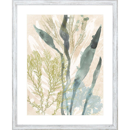 Vintage Ocean Jewels Wood Frame Canvas Art