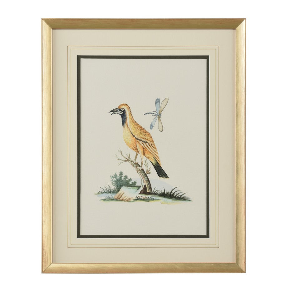 Chelsea House Cain Birds Gold Wood Framed Artwork